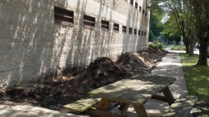 MunicipalLandscapeBefore3        